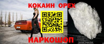 гашик Кимры