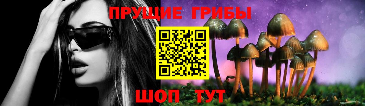 Галлюциногенные грибы Cubensis Кузнецк